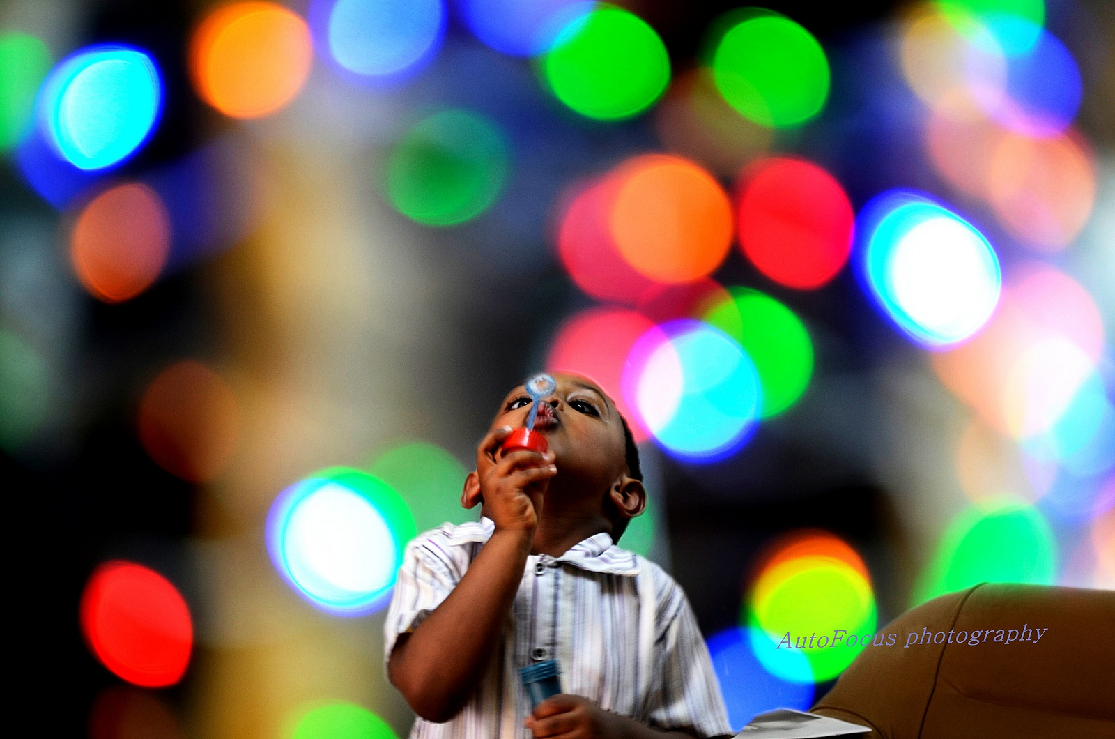 7163805191_16b7da935c_h